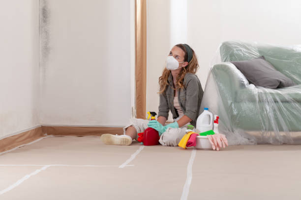Reliable Mold Cleanup contractor in Smithfield, VA by WQB Mold Removal